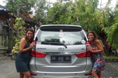 Private Arrival Transfer: Bali Airport to Hotel - Waiting time math: delays, the 30-minute offset, and the 1.5-hour window