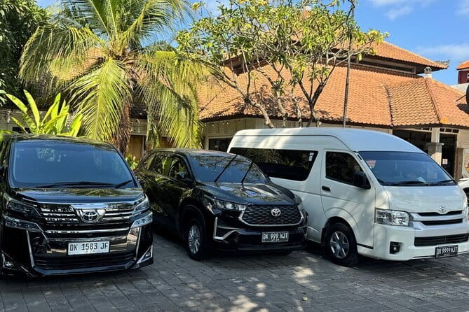 Private Bali Airport Transfer - Kuta, Seminyak, Jimbaran Area - Entering Bali Comfort Mode at Ngurah Rai Airport