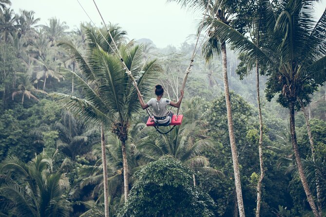 Private Bali Car Charter with Driver up to 6 People - Where pickup and drop-off really matter in Bali
