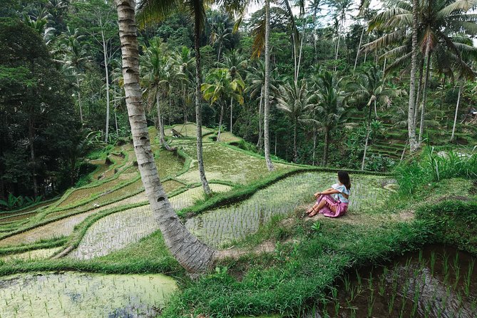 Private Bali Car Charter with Driver up to 6 People - Comfort and driver style: the difference between okay and great