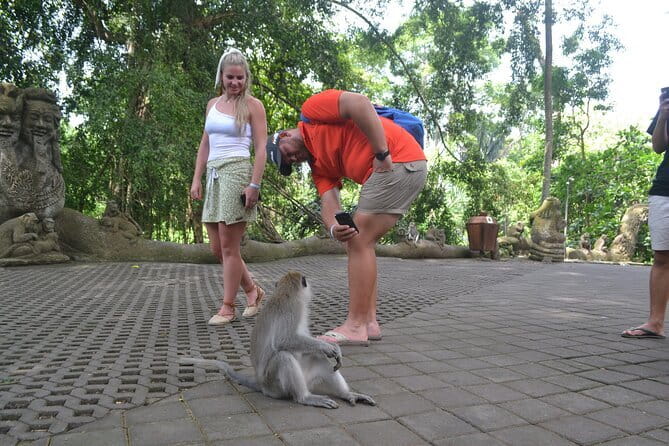 Private Bali Customized Tours - Getting the most out of a 9–10 hour private day