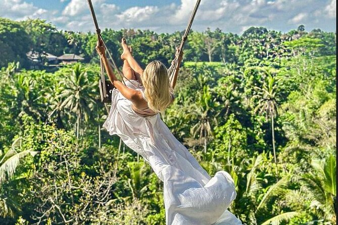 Private Bali Tour - All Inclusive - Getting Your Bearings Fast in Bali (Kuta Pickup + A/C Comfort)