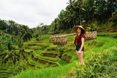 Private Bali Tour - All Inclusive - Sacred Monkey Forest Sanctuary: Macaques, Conservation, and a Real Bali Feel