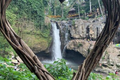 Private Bali Tour: Kintamani Volcano and Besakih Temple - Your 9:00am route: timing that keeps you from feeling rushed
