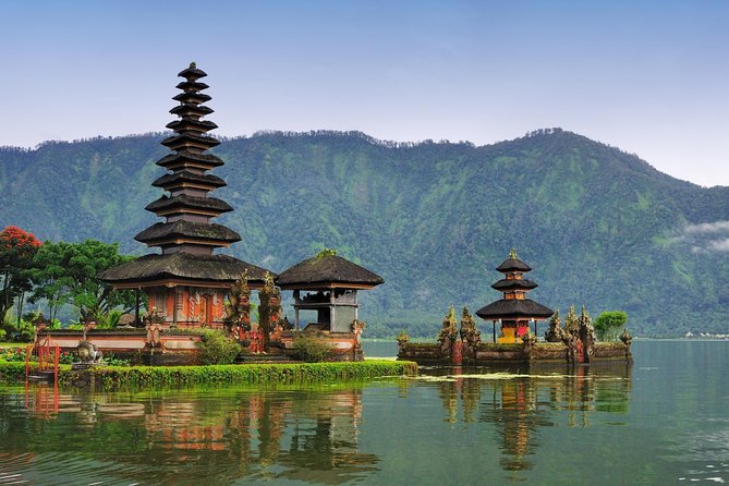 Private Bali Tour: The Most Scenic Places - What this private Ubud scenic tour gets you (and why it feels worth it)