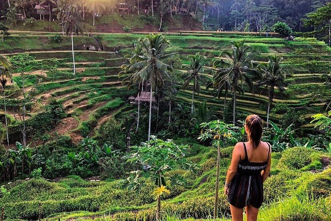 Private Bali Tour: Wonderful Ubud with Swing - Tegalalang Rice Terraces: The Classic View With a Tight Time Window