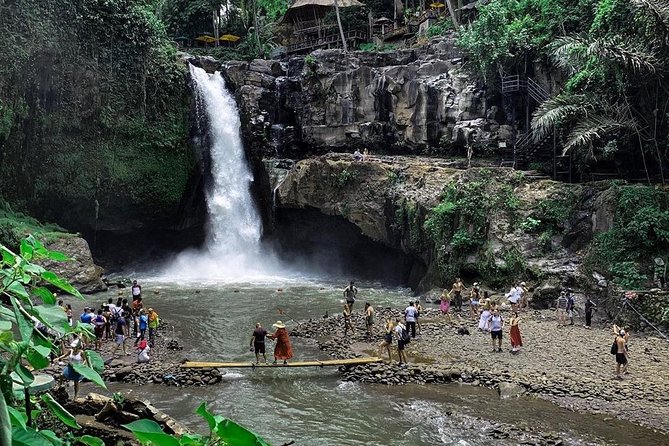 Private Bali Tour: Wonderful Ubud with Swing - Sacred Monkey Forest Sanctuary: Great Encounters, Clear Rules