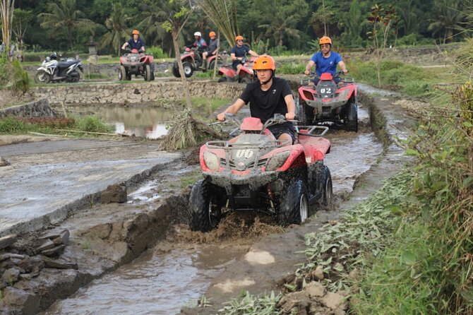 Private Balinese Cooking Class and Balinese house -All inclusive - Swing ticket and optional ATV: choose your comfort level
