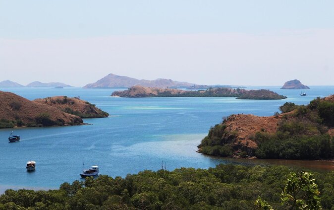 Private boat trip Komodo 2 or more person for 3 days 2 nights, Kelor, Rinca... - Day 3: Taka Makassar sandbank swim, Manta Point snorkeling, and Kanawa sea turtle luck