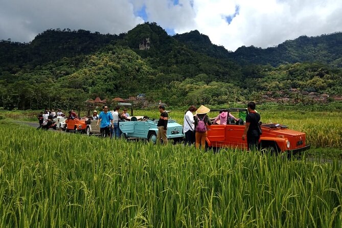 Private Borobudur Village Trip By Volkswagen Safari - The driver experience: Friendly guidance and photo help