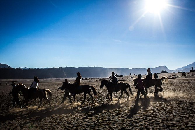 Private Bromo Sunrise Tour (All included) - Who this private Bromo sunrise tour is best for