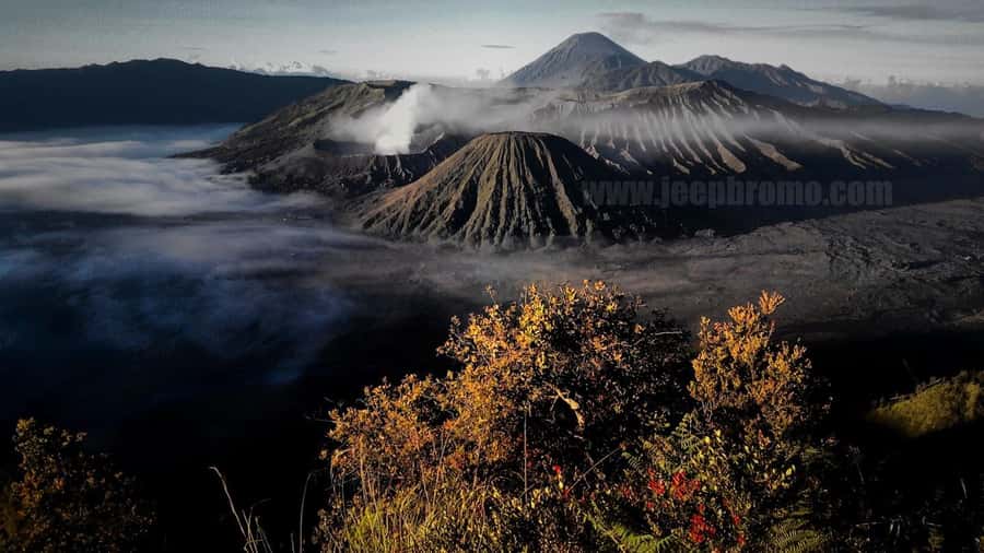 Private Bromo Tour start from Malang - 1D - Entrance tickets, English support, and what $61 actually buys