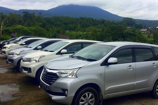 Private Car Charter - Explore Best of Bali - The chauffeur factor: what you should ask for