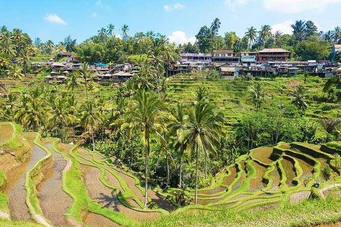 Private Car Charter - Explore Best of Bali - Budgeting entrance fees: plan for pay-as-you-go