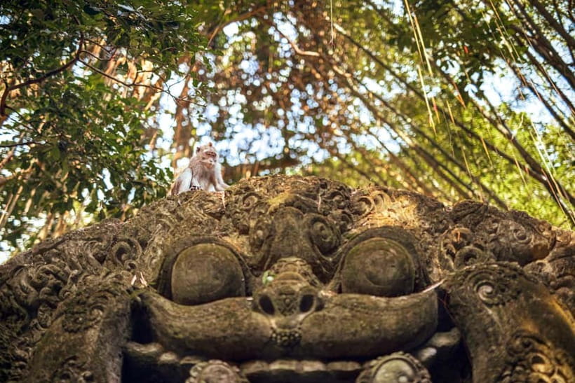 Private Central Bali Day Tour – Customizable Itinerary - Price and Extra Fees: Where Your $26 Can Go Further