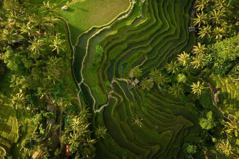 Private Central Bali Day Tour – Customizable Itinerary - Should You Book This Private Central Bali Day Tour?