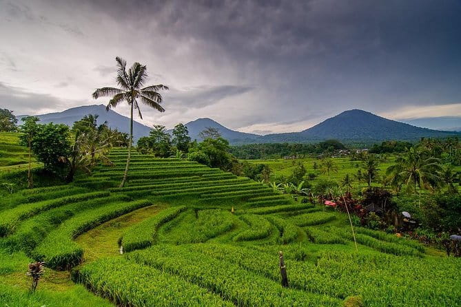 Private Chartered Car to Bali Temples With Besakih Temple - Besakih Temple: the “Mother Temple” that anchors the whole day