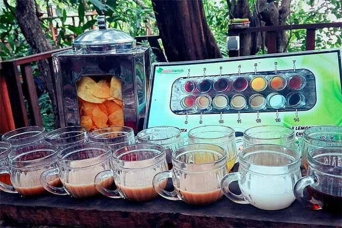 Private Chartered Car to Bali Temples With Besakih Temple - Price and logistics: what you’re really paying for at $60 per group