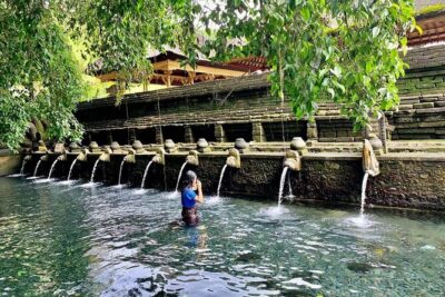 Private Custom Tour: 10-hour Best of Bali Tour - How the day runs: pickup, timing, and avoiding the slow parts