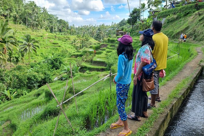 Private Customizable Bali Tour Visit with Transfer Included - Price and Logistics: What $30 Really Buys You