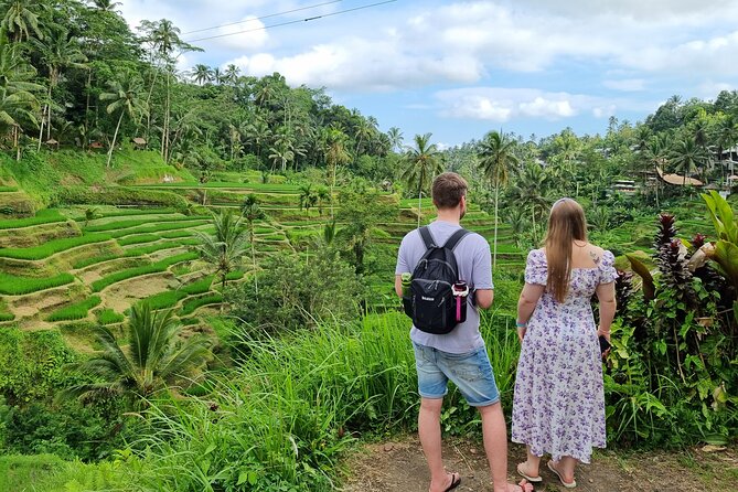 Private Customizable Bali Tour Visit with Transfer Included - Car Comfort, Bottled Water, and the WiFi Reality