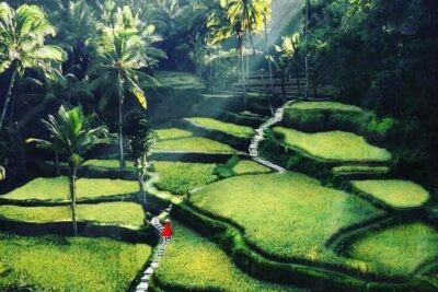 Private Customized Tour with Local Guide - Your Bali “mix-and-match” route: what this day actually includes