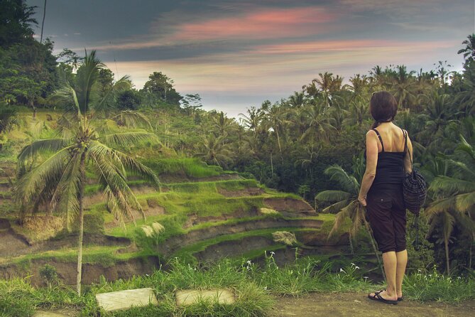 Private Customized Trip to Ubud - Price and logistics: what you pay, and what you should plan for