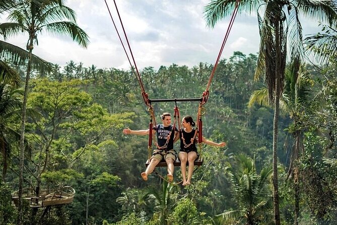 Private Day Tour In Ubud With Jungle Swing All Inclusive - Quick Takeaways