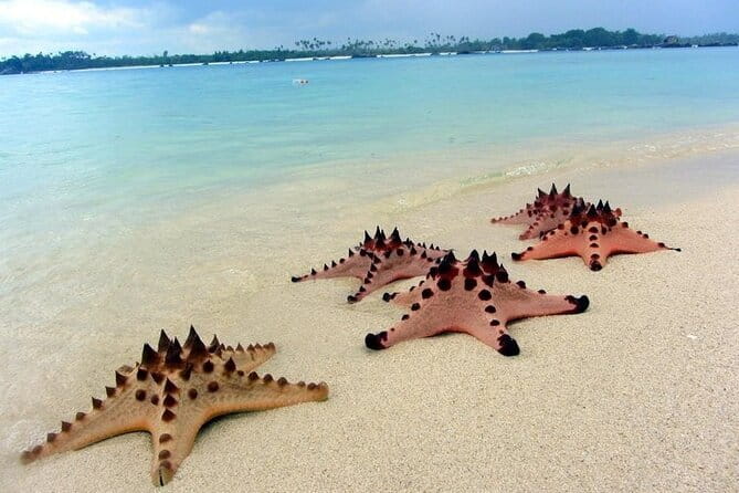 Private Day Trip Tour To Secret Gilis - Secret Gilis: Why this day trip feels special from minute one