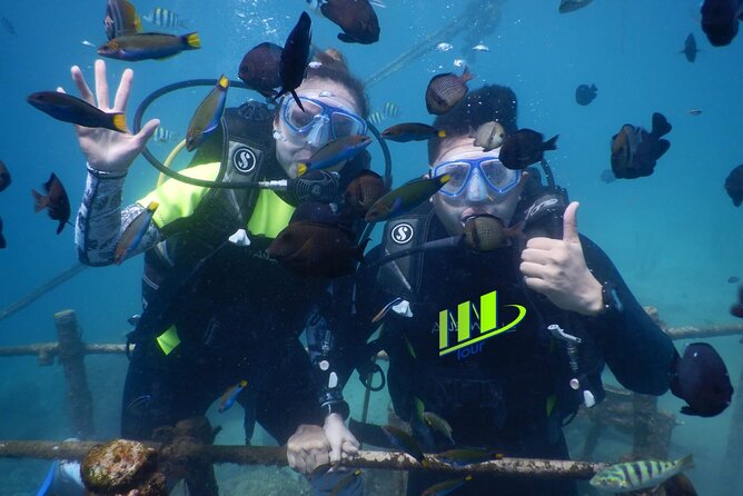 Private Diving Experience in Nusa Dua with Hotel Pick Up - Key highlights at a glance