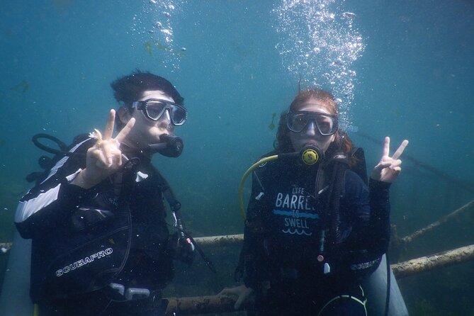 Private Diving Experience in Nusa Dua with Hotel Pick Up - How the private pickup runs in Nusa Dua and Jimbaran