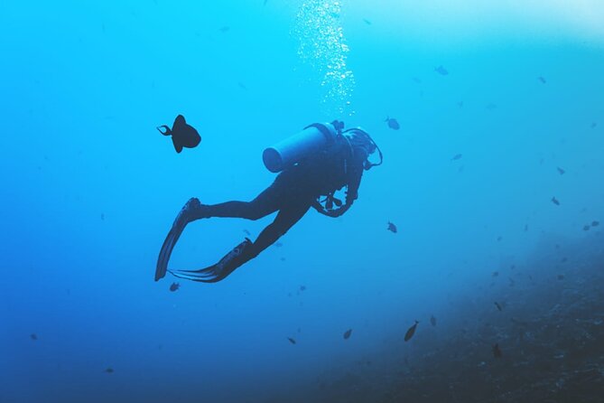 Private Diving Experience in Nusa Dua with Hotel Pick Up - Stop 1: Nusa Dua waters for beginner-friendly sea time
