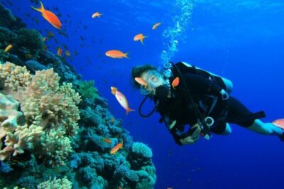 Private Diving Experience in Nusa Dua with Hotel Pick Up - Two underwater session choices: quick and relaxed vs more time