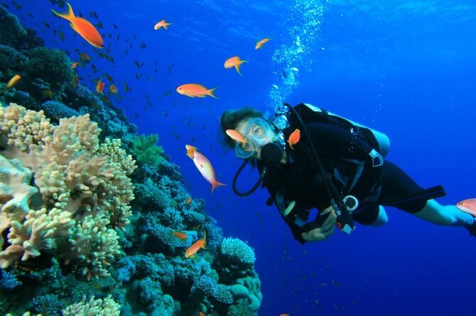 Private Diving Experience in Nusa Dua with Hotel Pick Up - Two underwater session choices: quick and relaxed vs more time