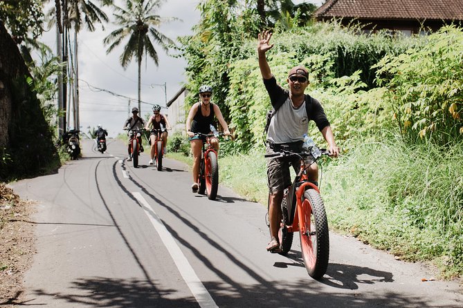 Private Fat Tire E-Bike Tour in Ubud - The guide experience: Wayan’s style and why it matters