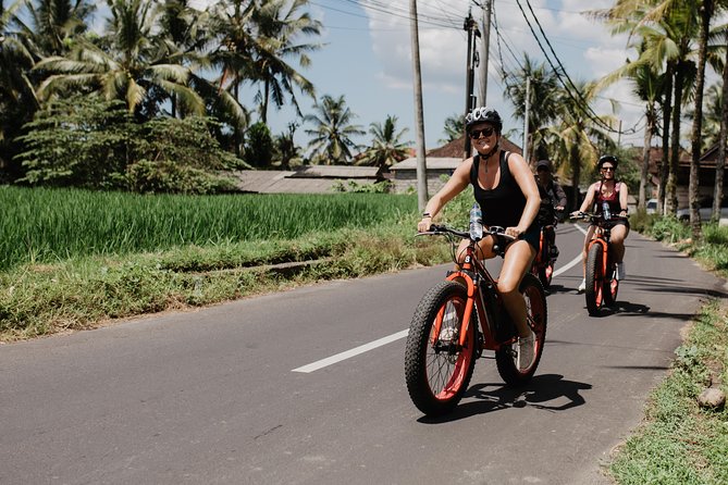 Private Fat Tire E-Bike Tour in Ubud - What you actually do on the ride (and what you skip)