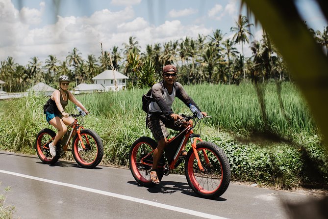 Private Fat Tire E-Bike Tour in Ubud - Campuhan Ridge and other route ideas you can request