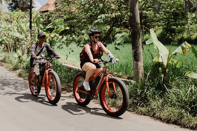 Private Fat Tire E-Bike Tour in Ubud - Timing, pace, and how moderate fitness fits in