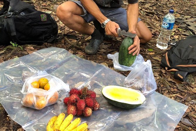 Private Full-Day Bukit Lawang Trekking Tour From Medan - The midday break: lunch in the jungle and a smart reset