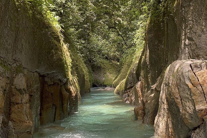 Private Full Day Canyoning from Bukit Lawang - The Short Walk to the River: First Dip, Coffee Stop, and Jungle Views