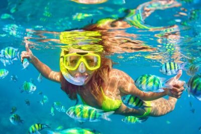 Private Full-Day Lovina Dolphin Watching and Snorkeling Boat Tour - The ride back toward Ubud: how the schedule feels at the end