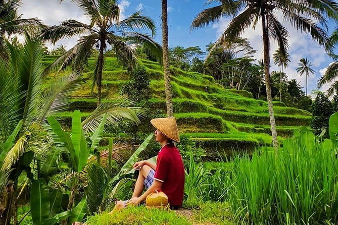 Private Full - Day Nusa Penida Island Tour - East tour vs east and west: choosing your best-fit route
