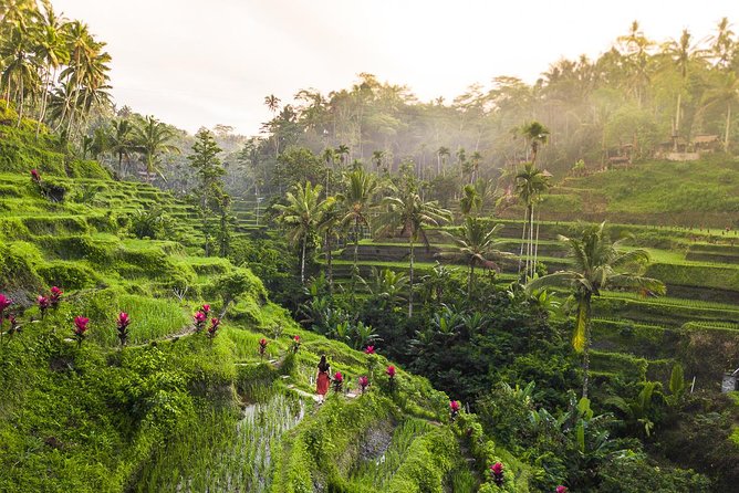 Private Full-Day Tour: Balinese Temples and Rice Terraces - How much your guide changes everything