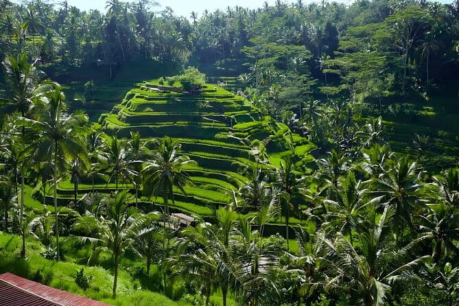 Private Full-Day Tour: Explore The Villages Of Ubud Bali - Key highlights you’ll care about