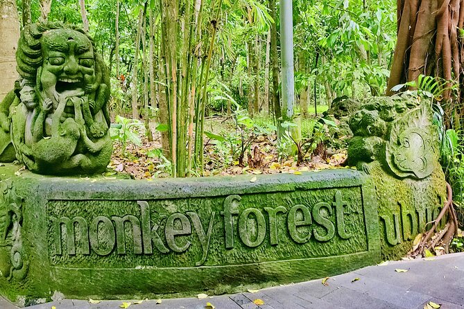 Private Full-Day Tour in Bali & FREE WIFI - Wi-Fi onboard and traffic: staying sane when Bali roads move slow