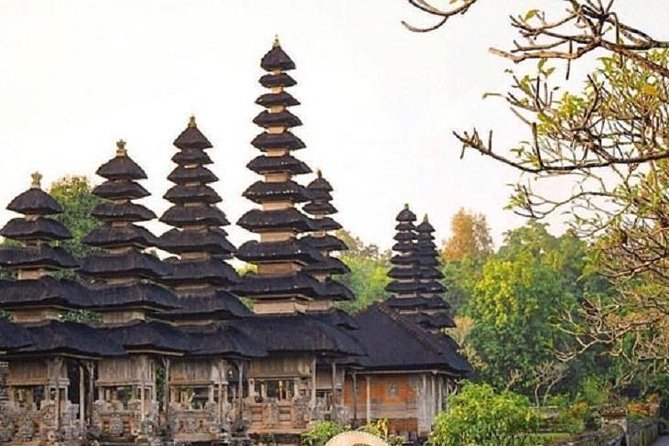 Private Full-Day Tour Jatiluwih Rice Terrace and Tanah Lot Temple - Who should book this tour (and who should think twice)