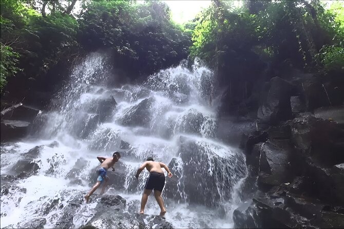 Private Full-Day Tour: The Beauty of Bali Waterfall Trip - Lunch break: Indonesian set menu and a vegetarian option