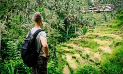 Private Full-Day Tour to the Real Bali Swing and Ubud - Batuan Temple: classical Balinese architecture before the jungle chaos