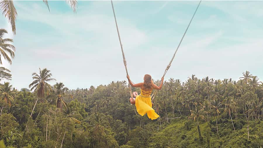 Private Full-Day Tour to the Real Bali Swing and Ubud - Who this tour suits best (and who should skip)