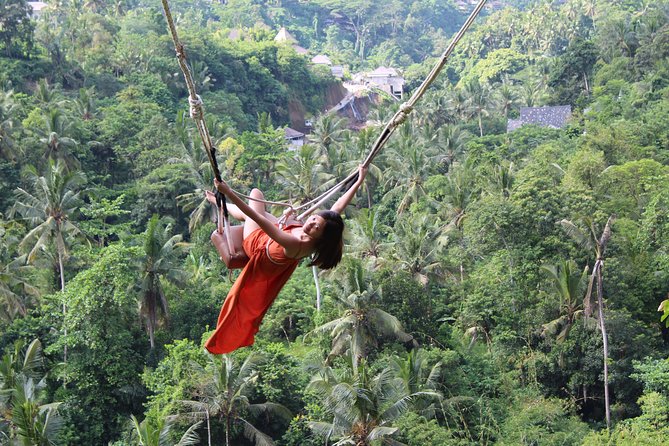 Private Full Day Tour to Ubud Highlights with Giant Swing - Ubud highlights without driving yourself: the practical appeal